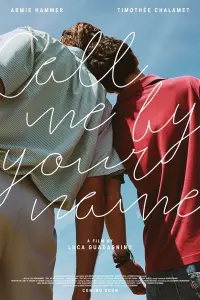 Poster to the movie "Call Me by Your Name" #37236