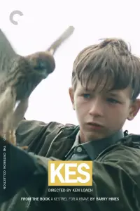 Poster to the movie "Kes" #211587