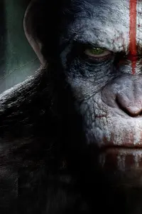 Poster to the movie "Dawn of the Planet of the Apes" #542593