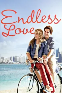 Poster to the movie "Endless Love" #111592