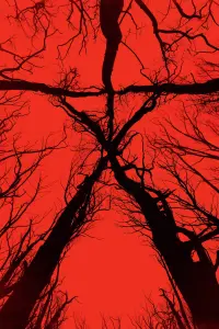 Poster to the movie "Blair Witch" #329263