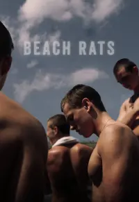 Poster to the movie "Beach Rats" #309004