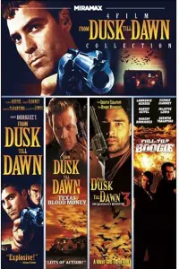 Poster to the movie "From Dusk Till Dawn" #69471