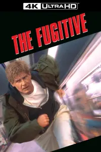 Poster to the movie "The Fugitive" #70101