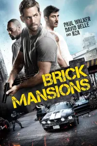 Poster to the movie "Brick Mansions" #89457