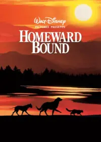 Poster to the movie "Homeward Bound: The Incredible Journey" #251074