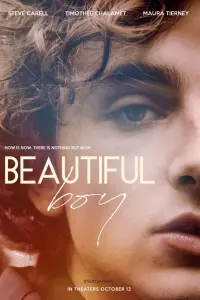 Poster to the movie "Beautiful Boy" #98535