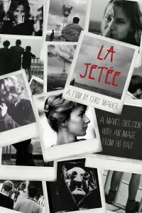 Poster to the movie "La Jetée" #183944