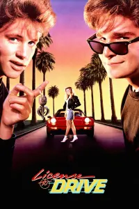 Poster to the movie "License to Drive" #146596