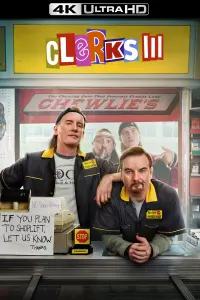 Poster to the movie "Clerks III" #149277