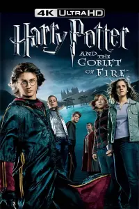 Poster to the movie "Harry Potter and the Goblet of Fire" #542671