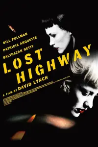 Poster to the movie "Lost Highway" #120874