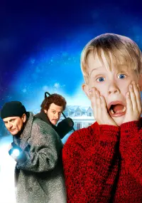 Poster to the movie "Home Alone" #216183