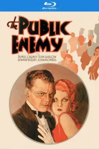 Poster to the movie "The Public Enemy" #230683