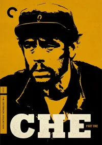 Poster to the movie "Che: Part One" #260569