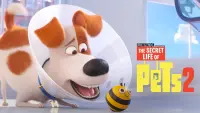 Backdrop to the movie "The Secret Life of Pets 2" #32657