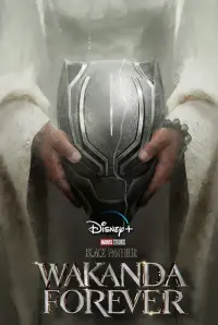 Poster to the movie "Black Panther: Wakanda Forever" #4365