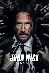 Poster to the movie "John Wick: Chapter 2" #169080