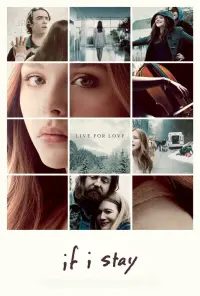 Poster to the movie "If I Stay" #465371