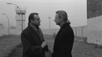 Backdrop to the movie "Wings of Desire" #187549