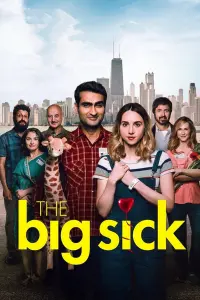 Poster to the movie "The Big Sick" #113976