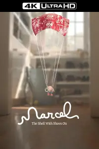 Poster to the movie "Marcel the Shell with Shoes On" #58794