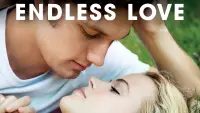 Backdrop to the movie "Endless Love" #109653