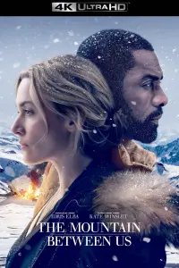 Poster to the movie "The Mountain Between Us" #60185