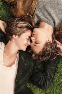 Poster to the movie "The Fault in Our Stars" #205770