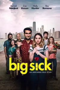 Poster to the movie "The Big Sick" #113987