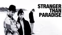 Backdrop to the movie "Stranger Than Paradise" #237110