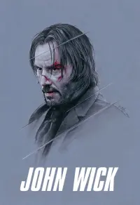 Poster to the movie "John Wick" #51552