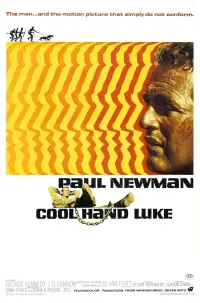 Poster to the movie "Cool Hand Luke" #102978