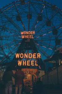 Poster to the movie "Wonder Wheel" #134189