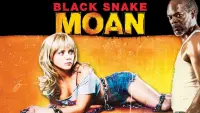 Backdrop to the movie "Black Snake Moan" #257968