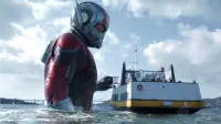 Backdrop to the movie "Ant-Man and the Wasp" #251476