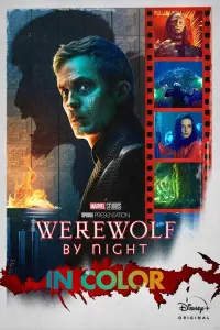 Poster to the movie "Werewolf by Night" #46231