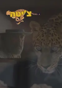 Poster to the movie "Cheetah" #645230