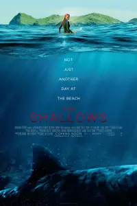 Poster to the movie "The Shallows" #81075