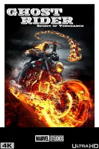 Poster to the movie "Ghost Rider: Spirit of Vengeance" #51199