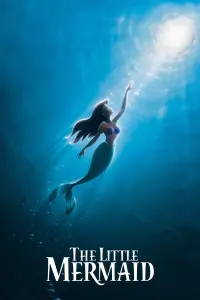 Poster to the movie "The Little Mermaid" #22177