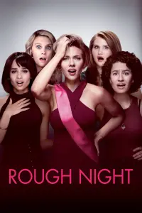 Poster to the movie "Rough Night" #107120