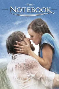 Poster to the movie "The Notebook" #31027