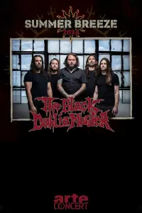 Poster to the movie "The Black Dahlia Murder - Summer Breeze 2024" #559554