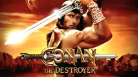 Backdrop to the movie "Conan the Destroyer" #86691