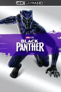 Poster to the movie "Black Panther" #219883