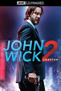 Poster to the movie "John Wick: Chapter 2" #169028