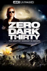 Poster to the movie "Zero Dark Thirty" #248602