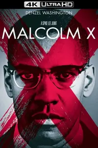 Poster to the movie "Malcolm X" #112574