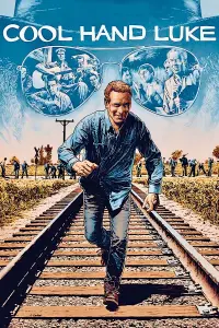 Poster to the movie "Cool Hand Luke" #102975